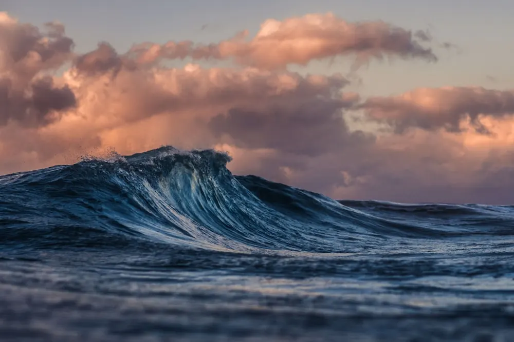 Ocean wave at golden hour