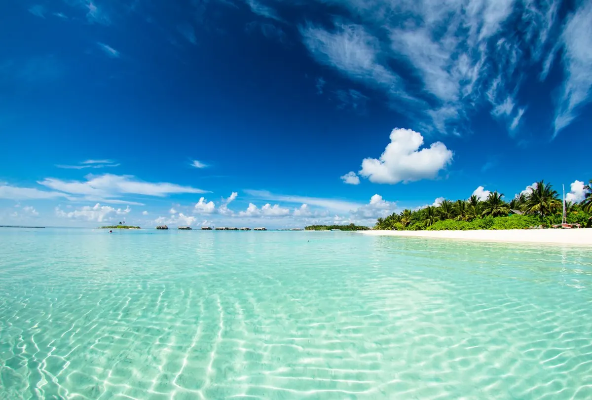 Kayaking through clear coastal water