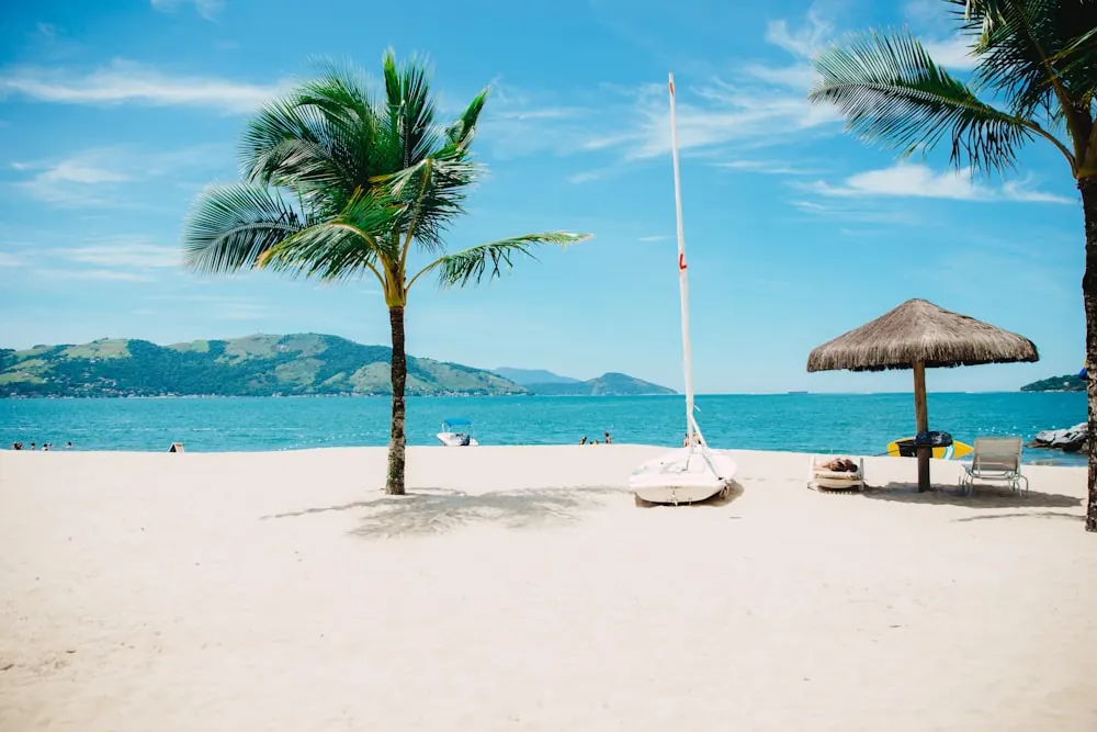 Tropical shore and sailboat